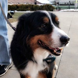 Meet your Posher, Kevin